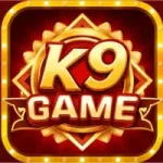 k9 Game