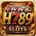 H789 Game
